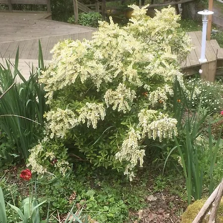 Les Taouleres B&B 3*