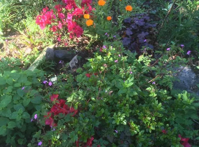 乐斯淘乐瑞思住宿加早餐旅馆