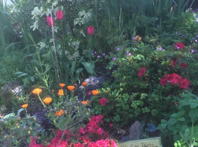 住宿加早餐酒店 乐斯淘乐瑞思住宿加早餐旅馆 Hastingues